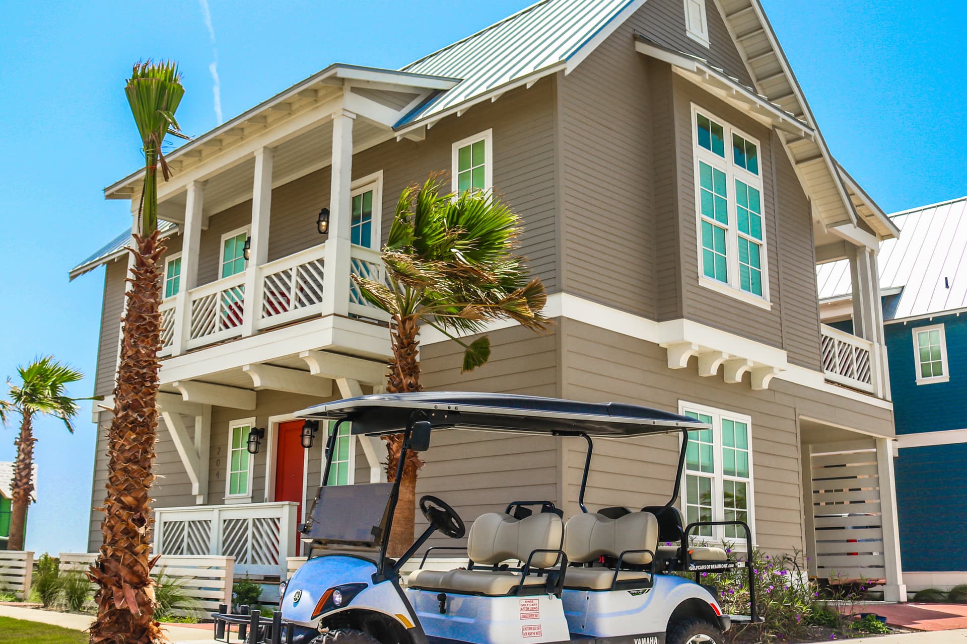 Deep Sea Parrot - Image 5