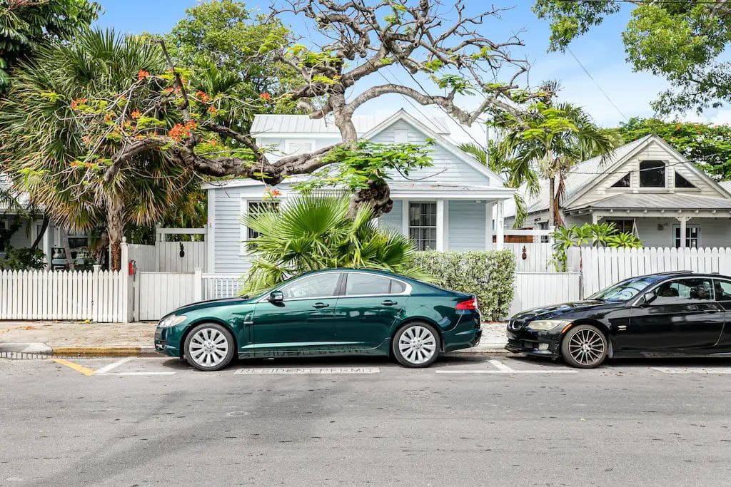 Let's Flamingo - Image 25