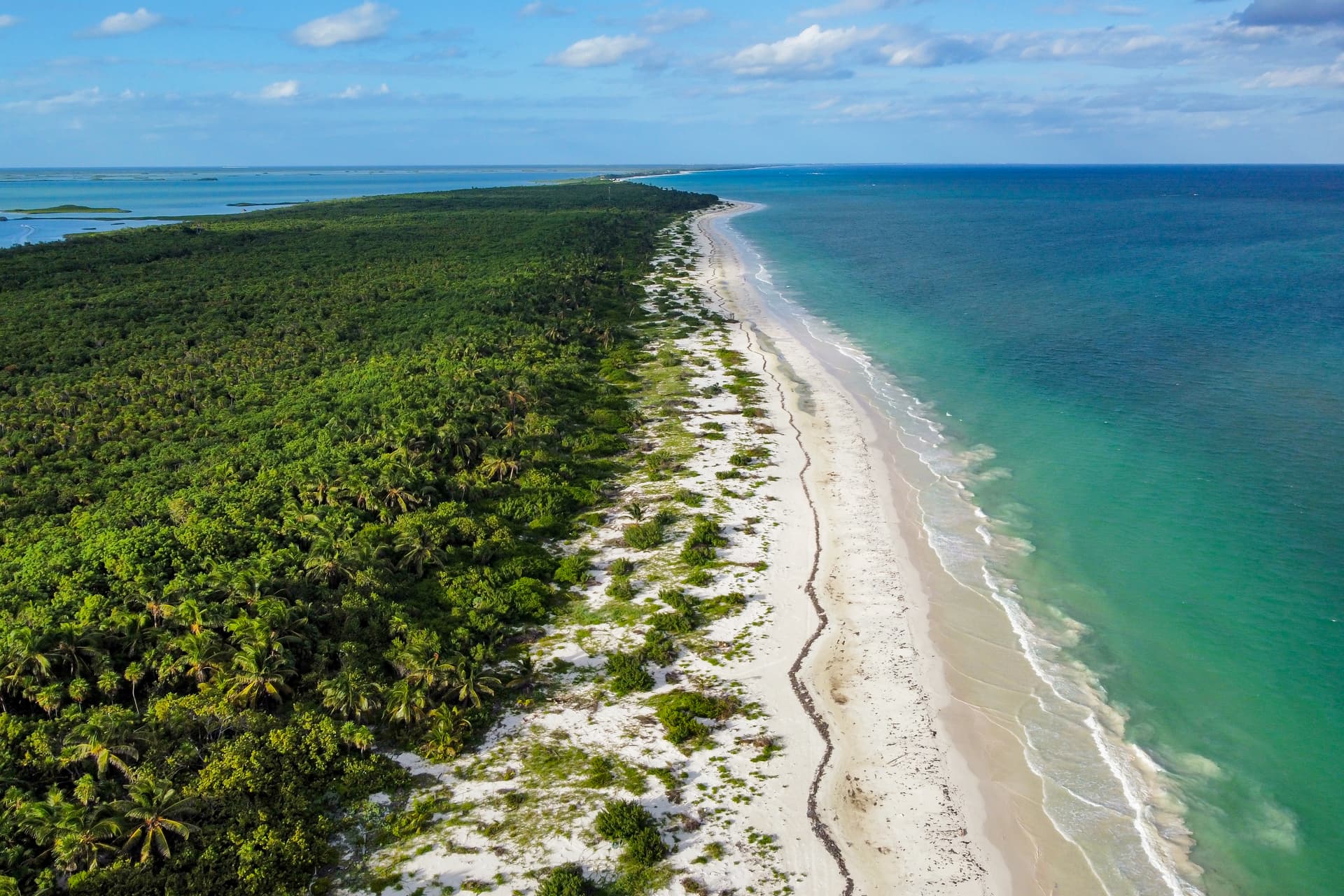 Gardens Coba - Image 24