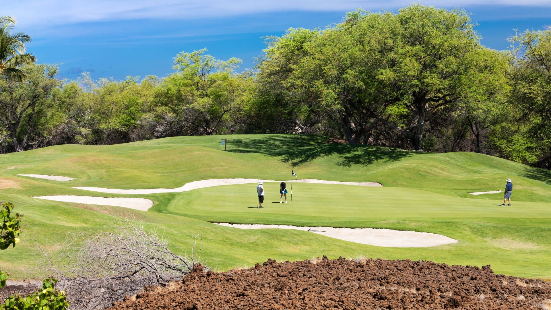 Dreams Come True - Image 58