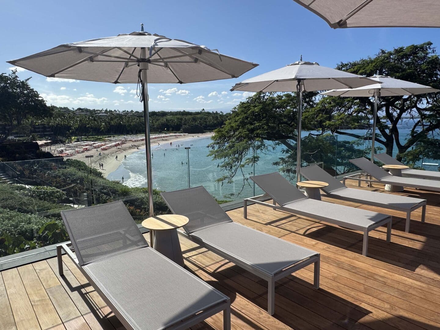 Hawaiian Elegance - Image 93