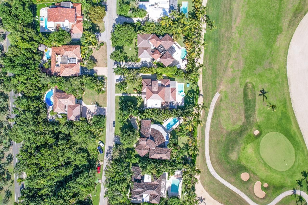 Tortuga #B55 - Image 35