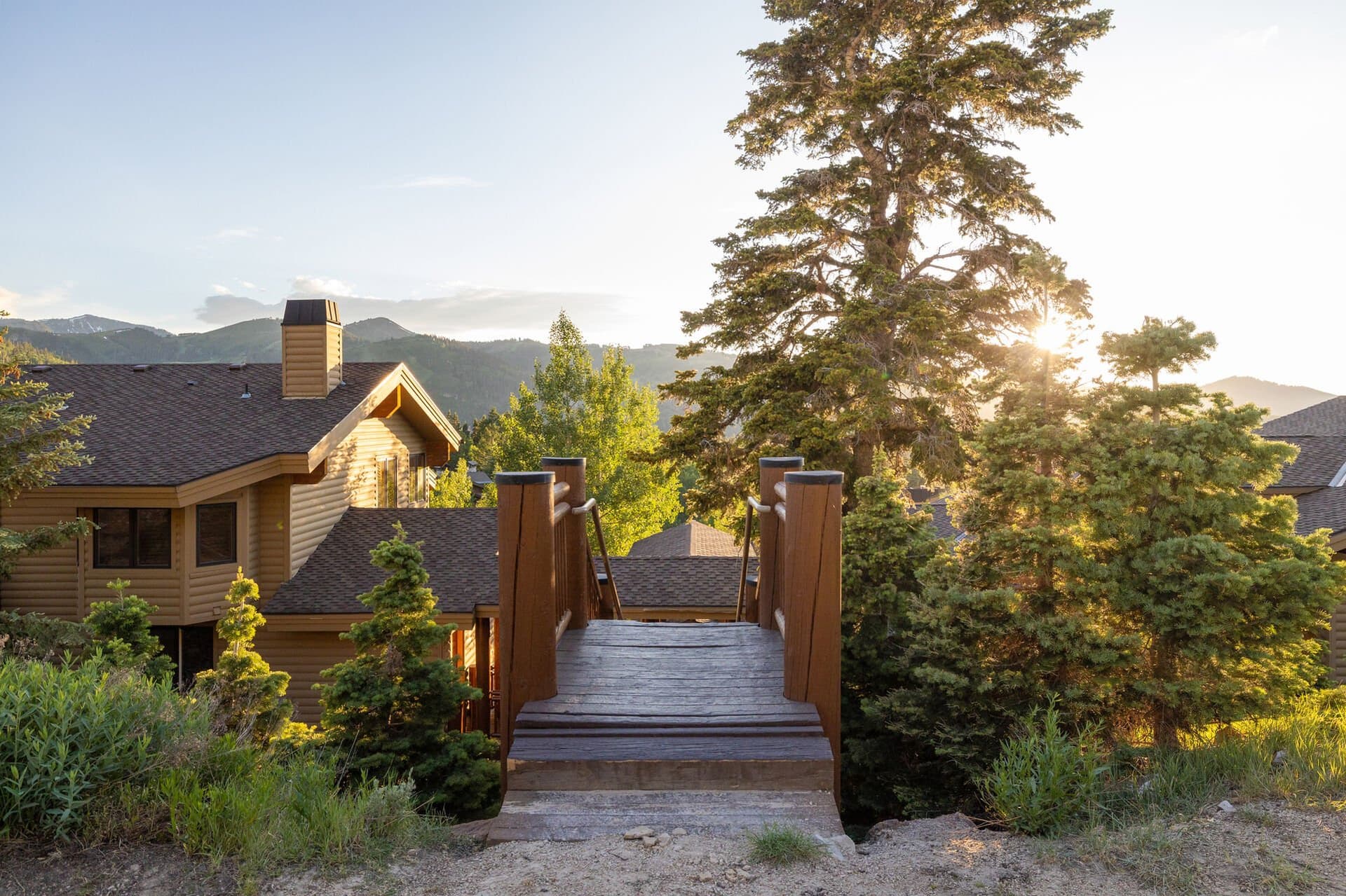 Double Eagle #3 - Image 27