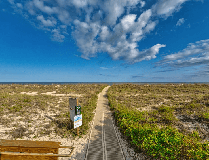 Five Beach Bums - Image 45