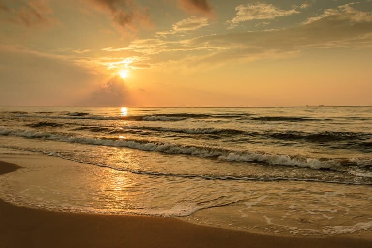 Palmilla Amore - Image 67