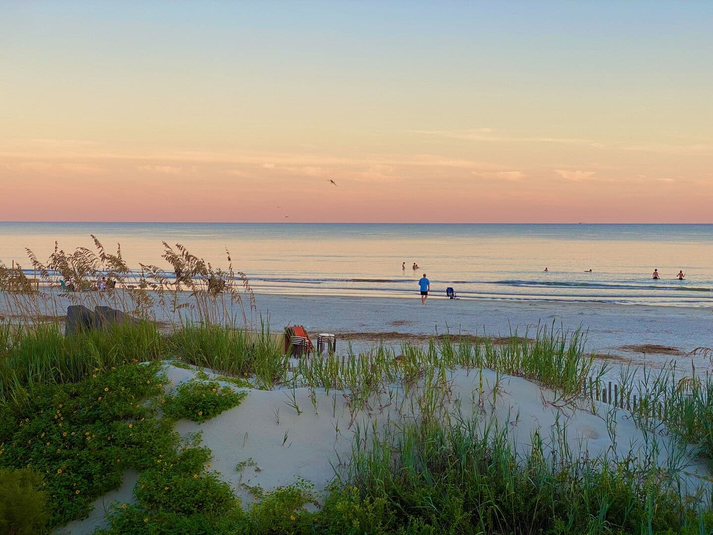 Sunny Shores - Image 37