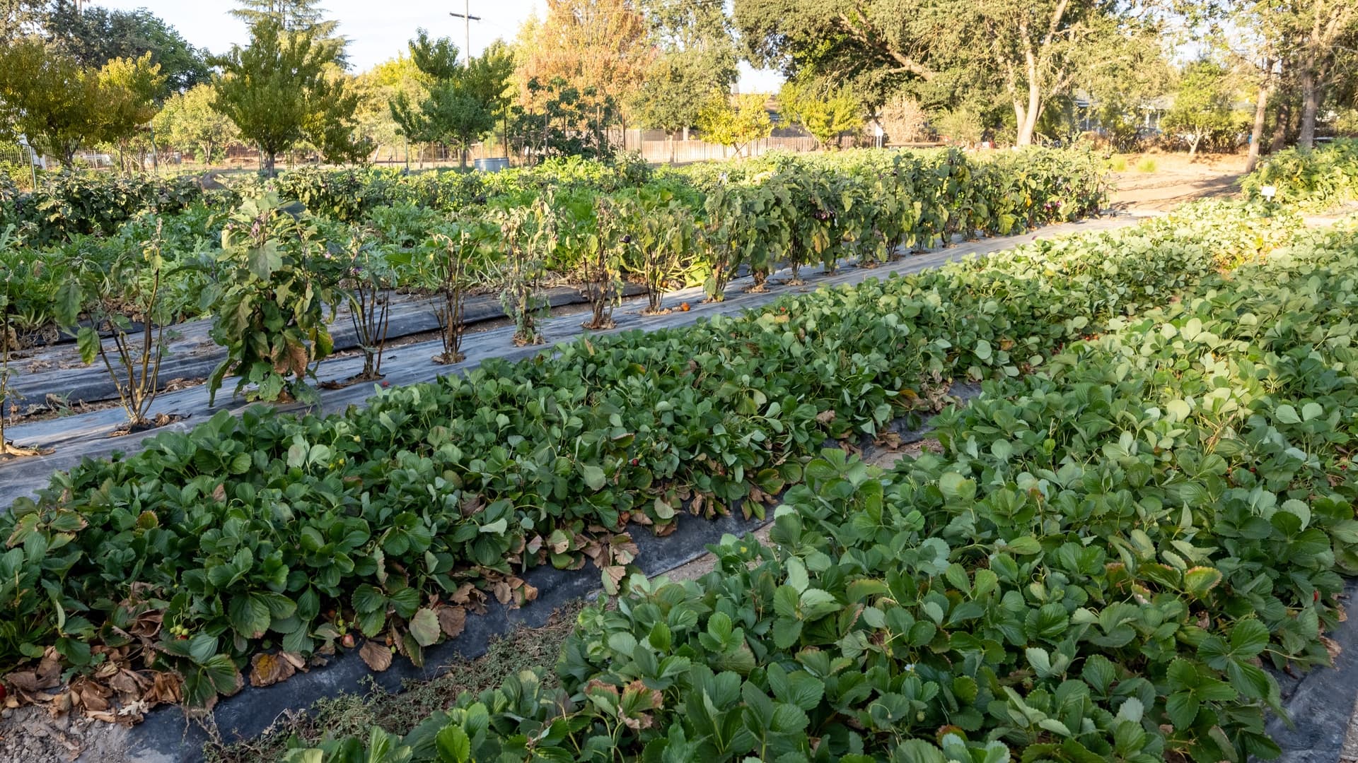 Fryer Creek Agriturismo - Image 56