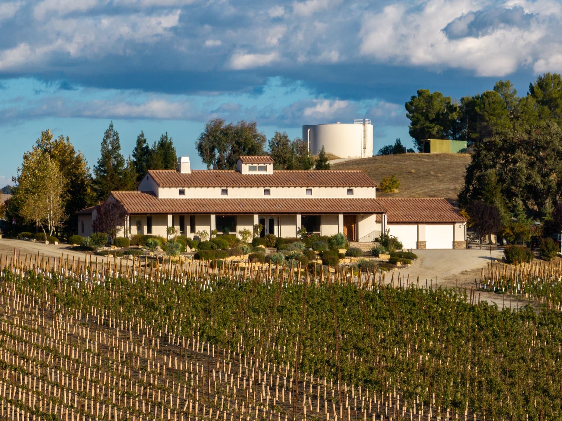 Mission Vineyard House - Image 53