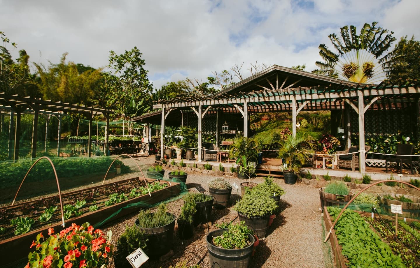 Lodge at Kukui'ula Bungalow #1A - Image 22