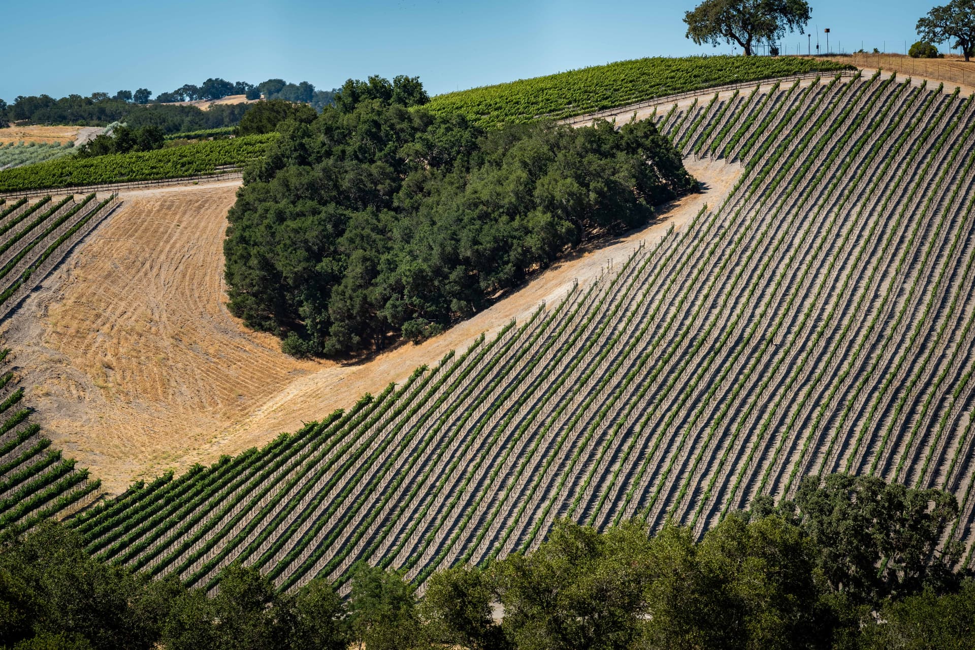 Heartview Cottage Home - Image 5