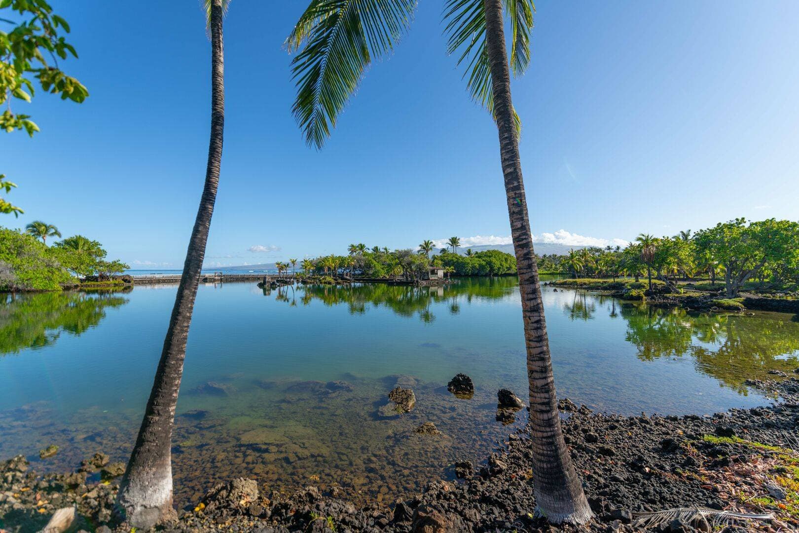 Mauna Residence - Image 29