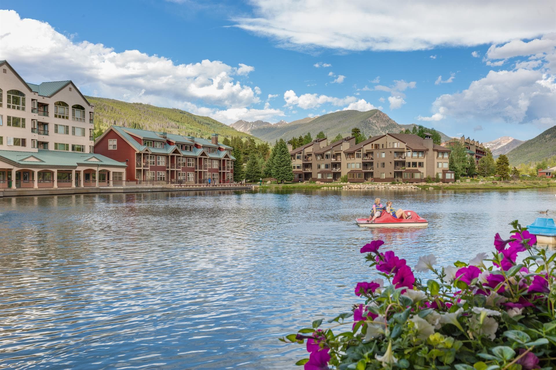 Gentle Grove - Image 24