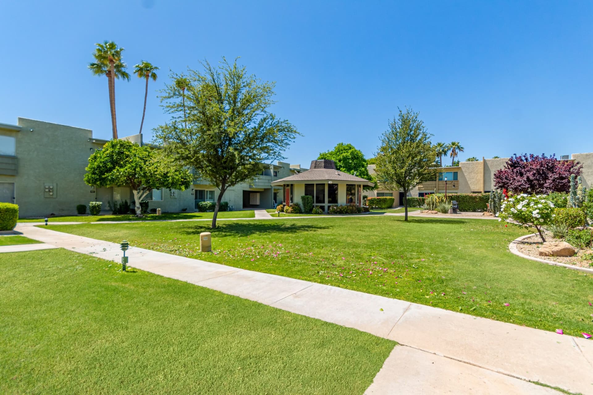 Camelback House - Image 22