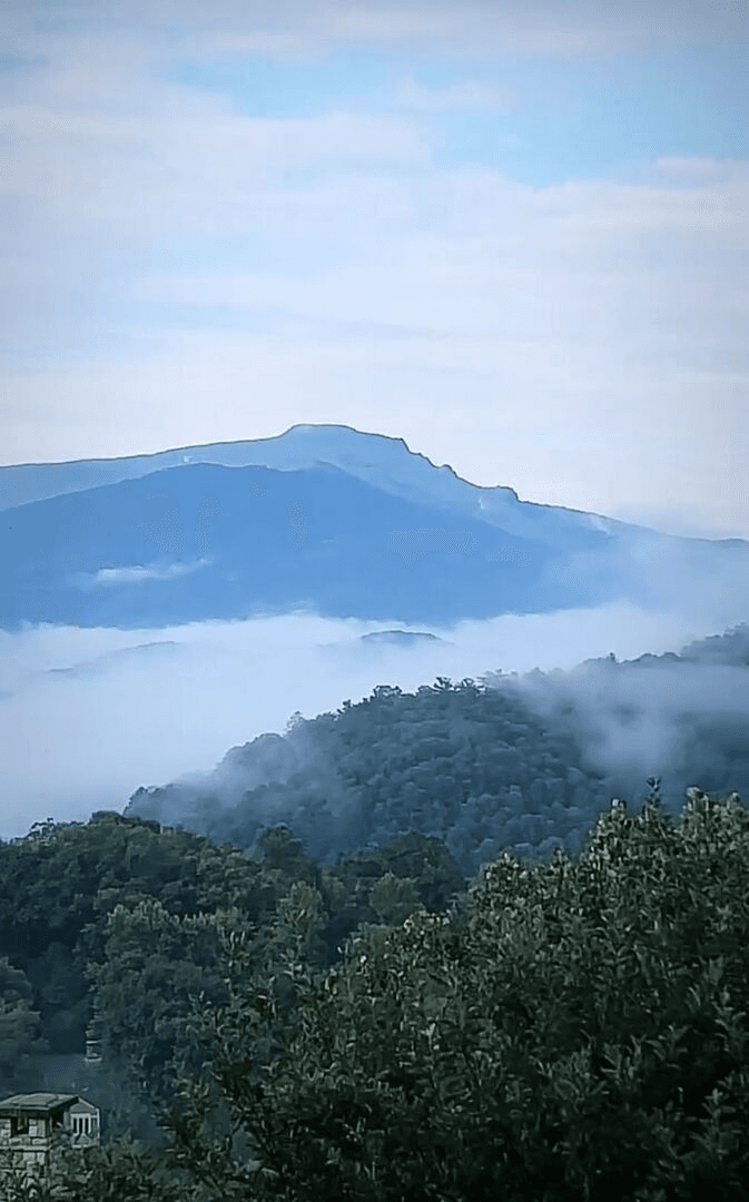 Hawthorn House - Image 15