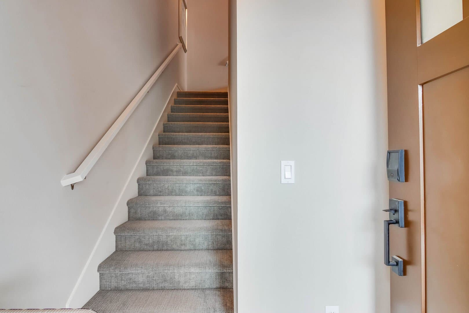 Bay Dream - Image 14