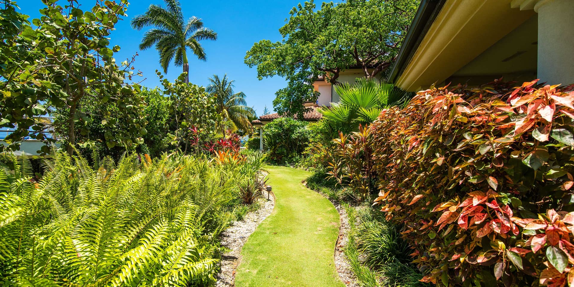 Blue Luna Home - Image 31