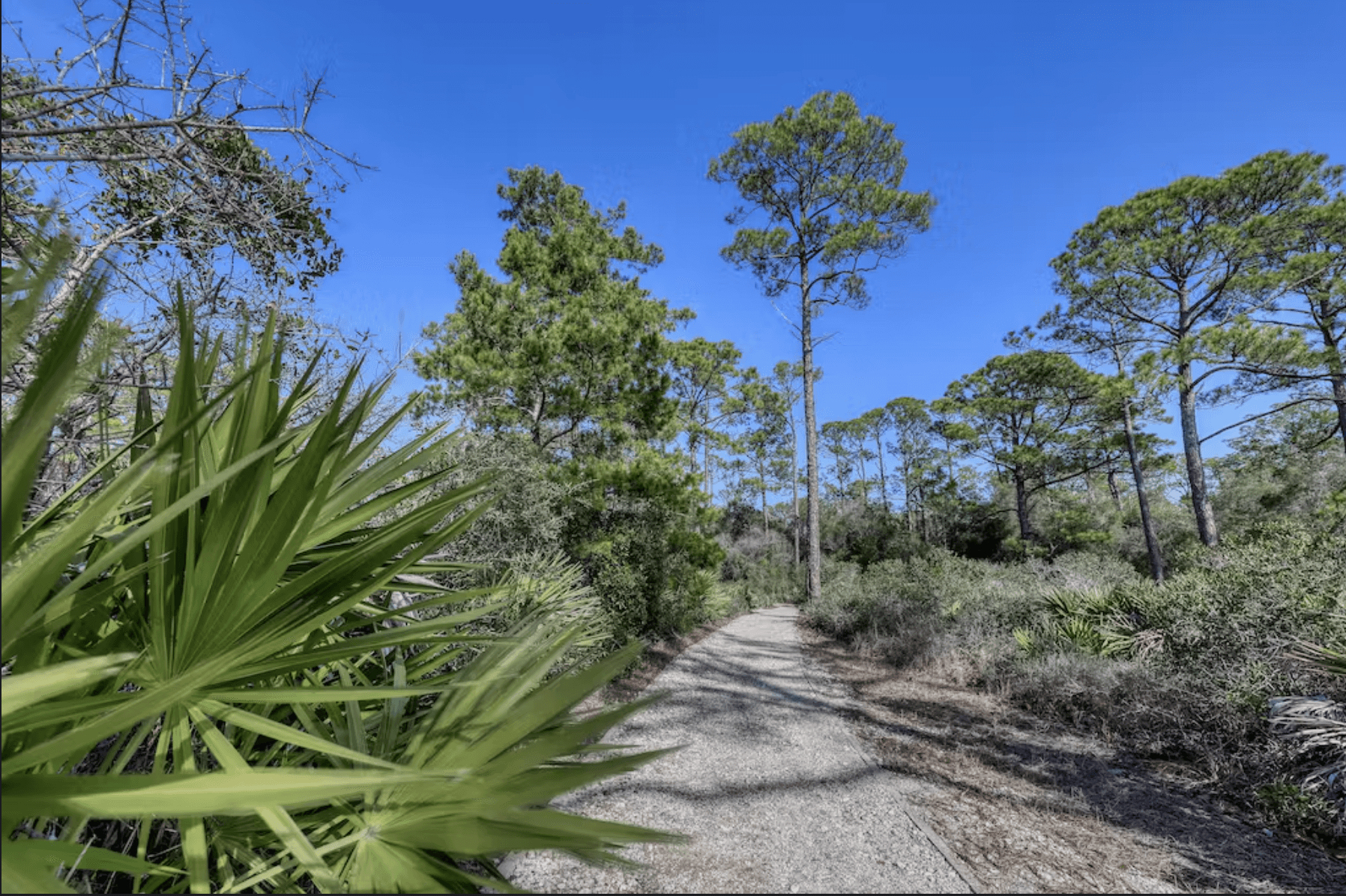 Sea Sanctuary Home - Image 36