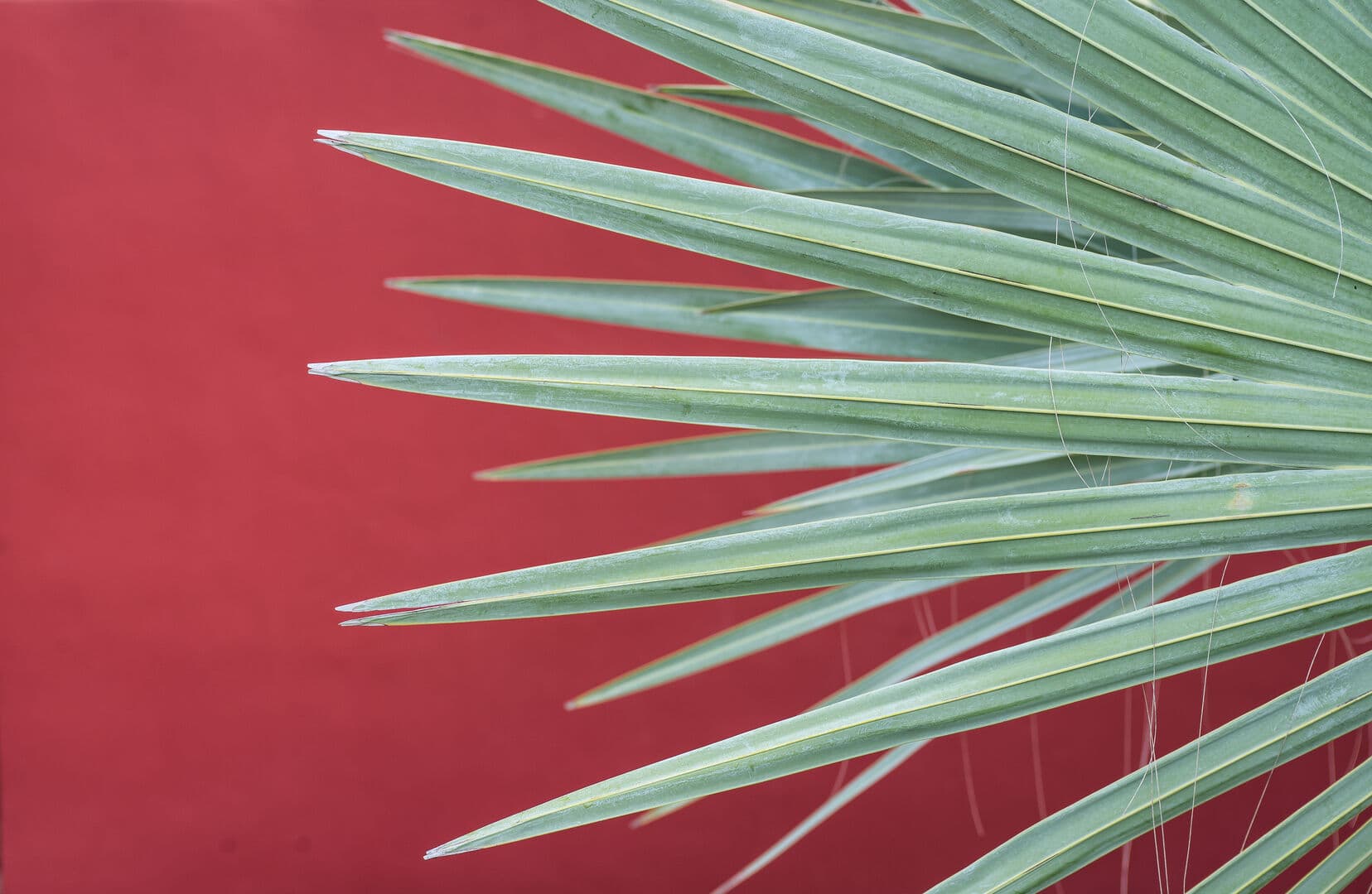 Pacifica Punta Place - Image 11