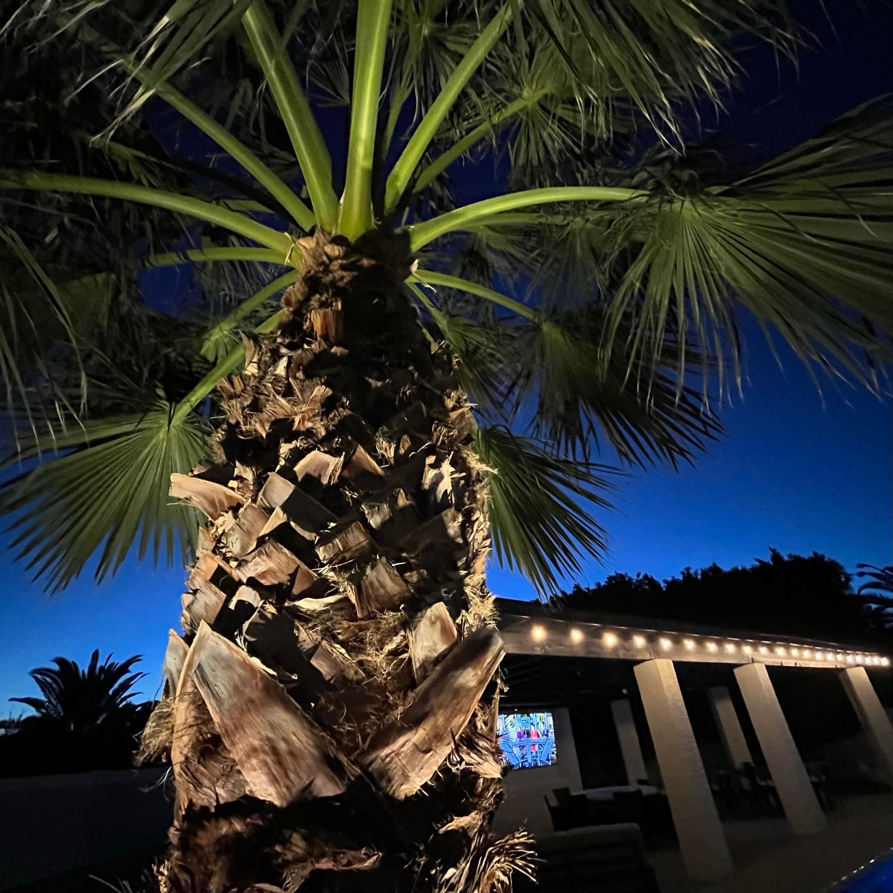 Mesquite Lux Resort - Image 49