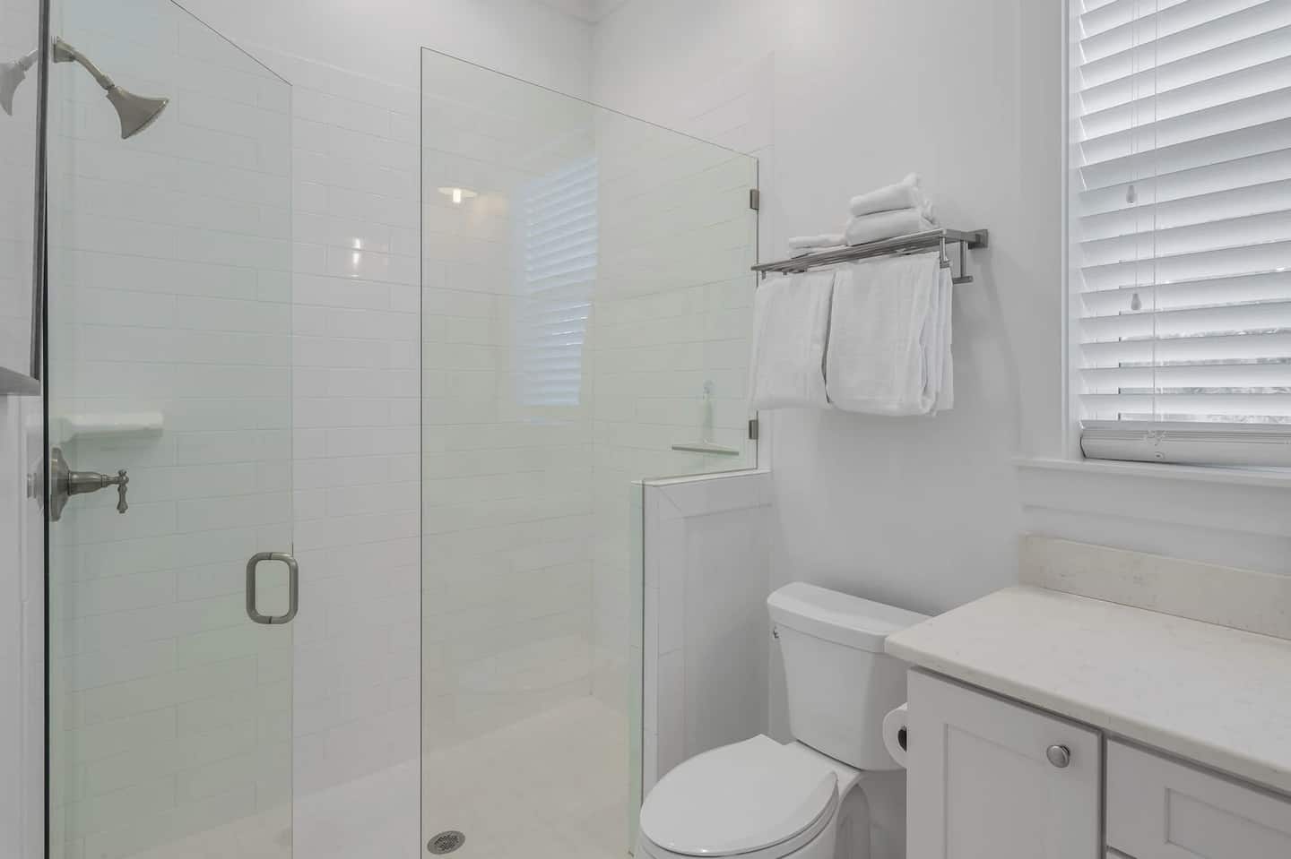 Longleaf Pines - Image 10