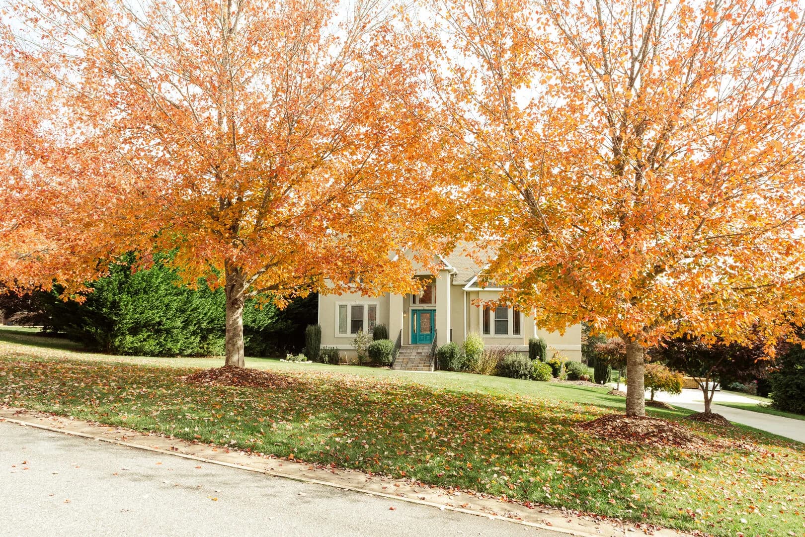 Brennan Brook - Image 4