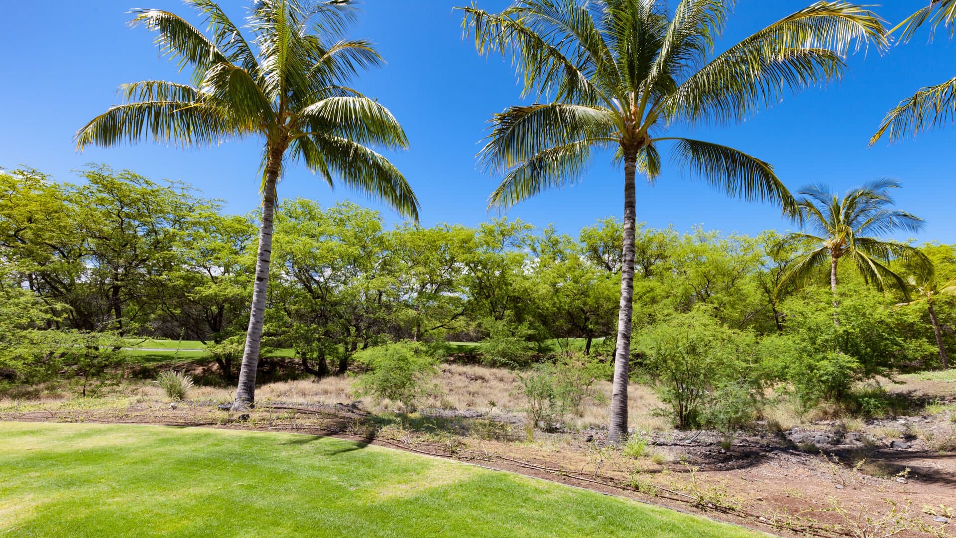 Hawaiiana Escape - Image 45