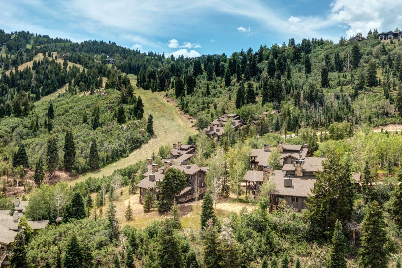 Success View - Image 44