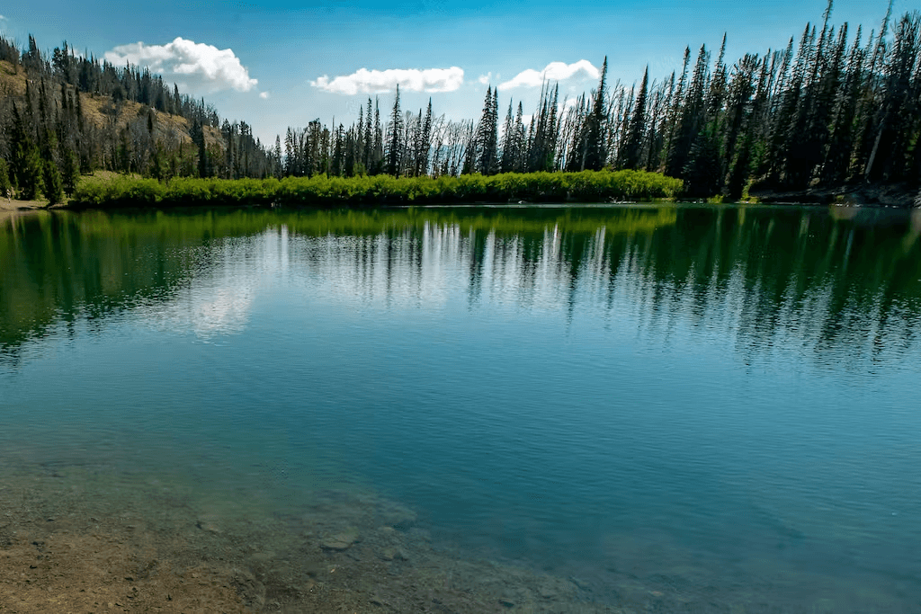 Sun and Ski - Image 32