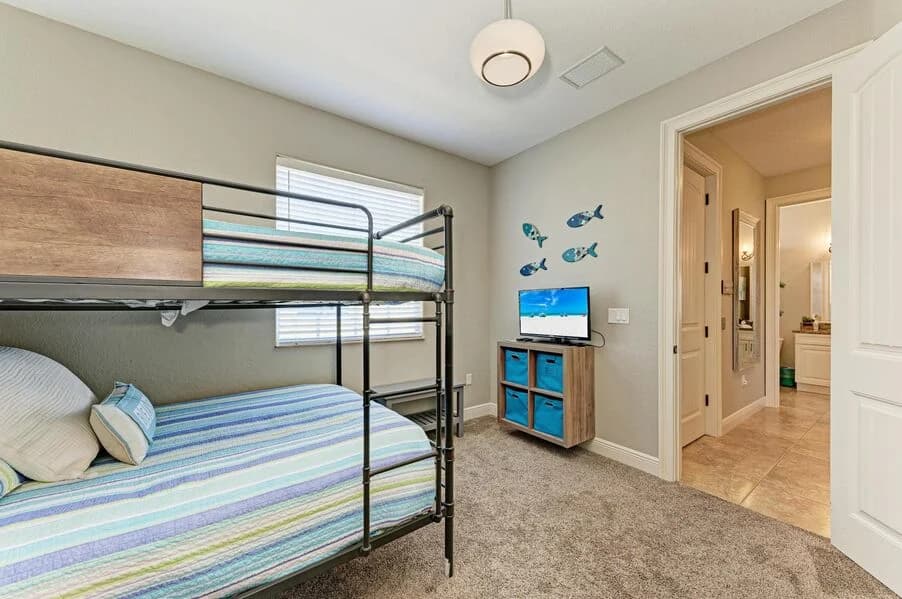 Island Nautilus - Image 21