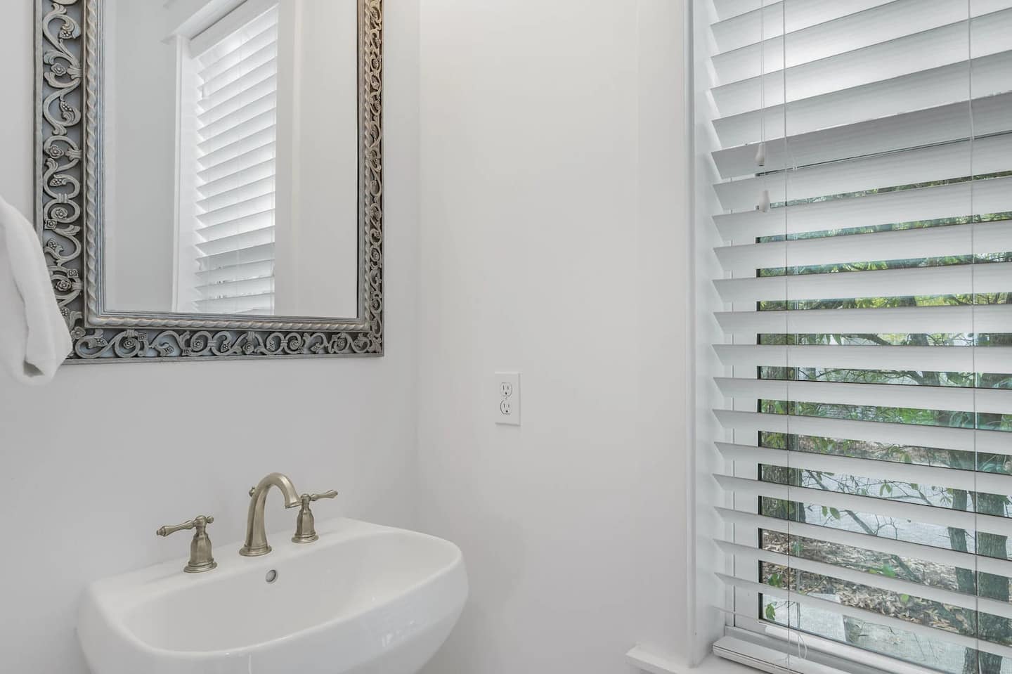 Longleaf Pines - Image 6