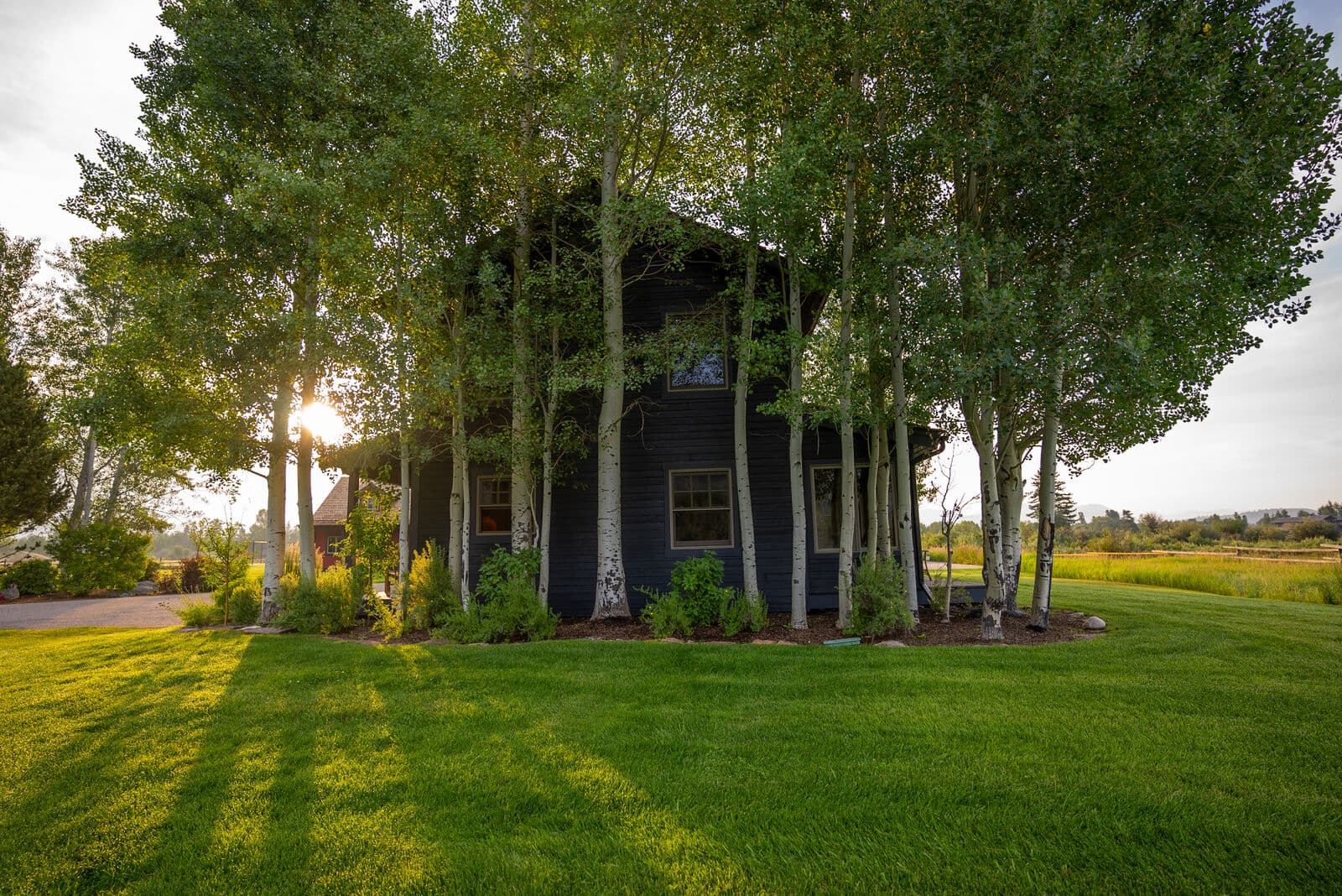 Open Meadows - Image 57