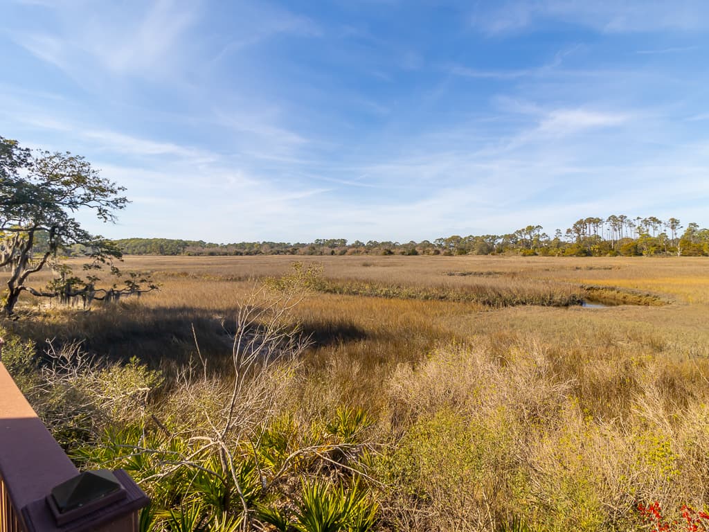 Tidal Tranquility - Image 35