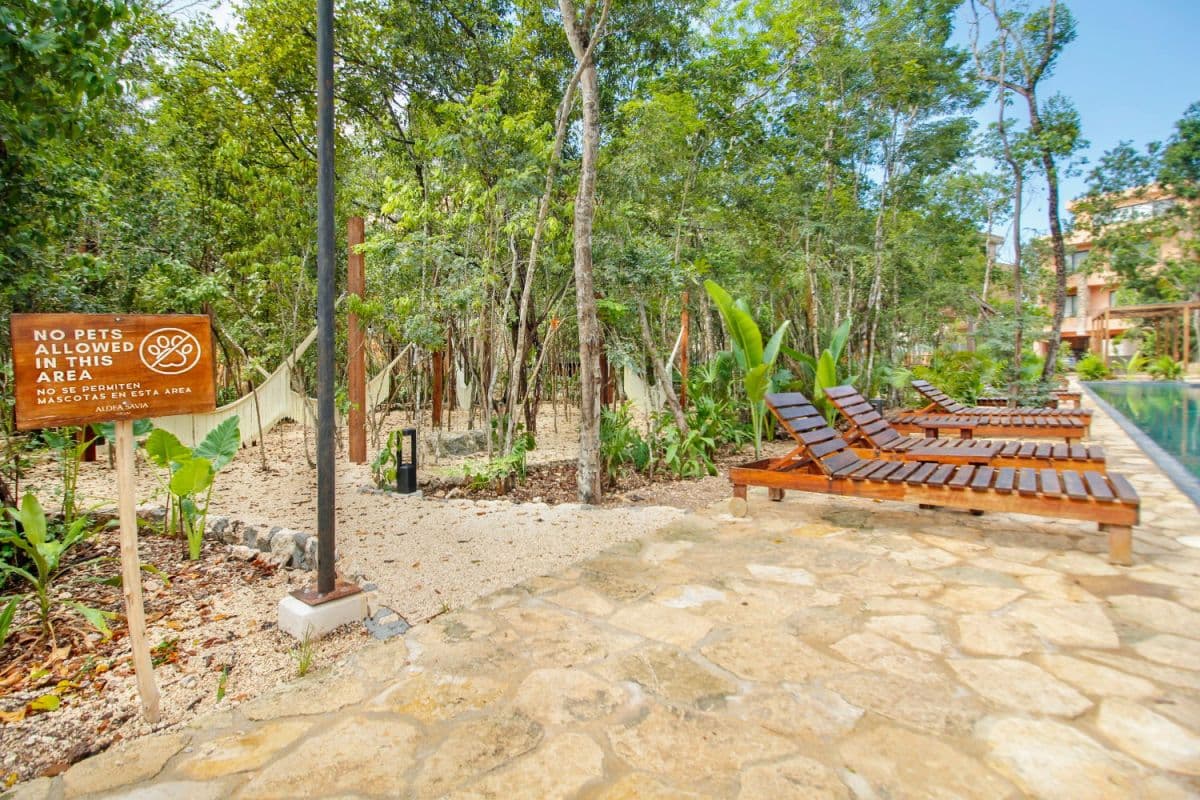 Bright Serenity Escape - Image 28