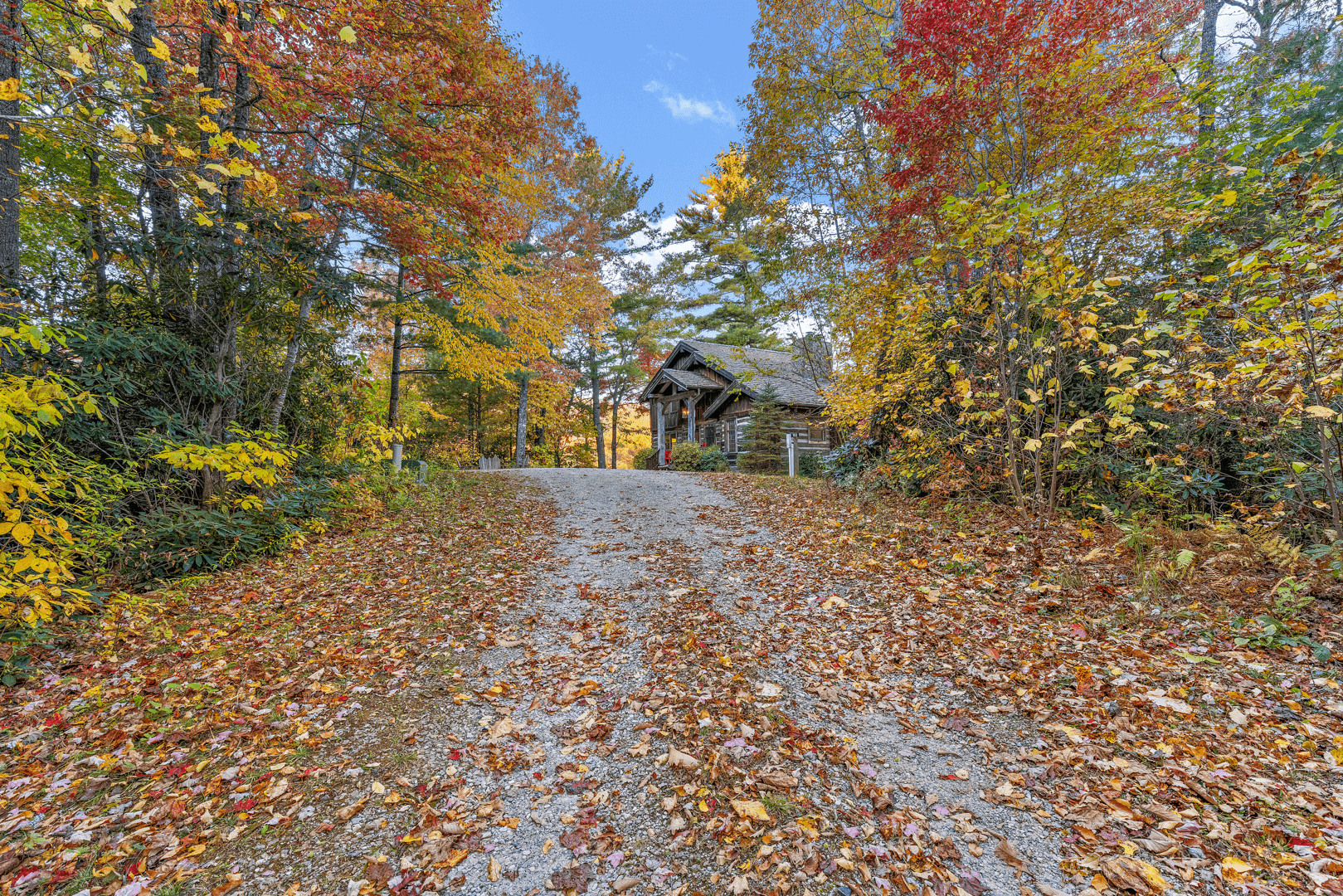 Foxtail Cabin - Image 2