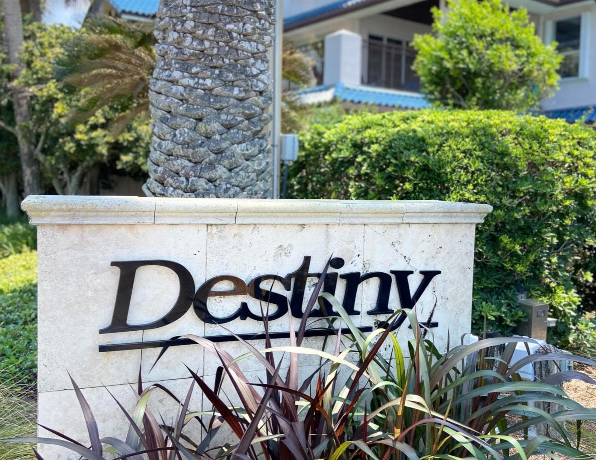 Paradise Isle - Image 50