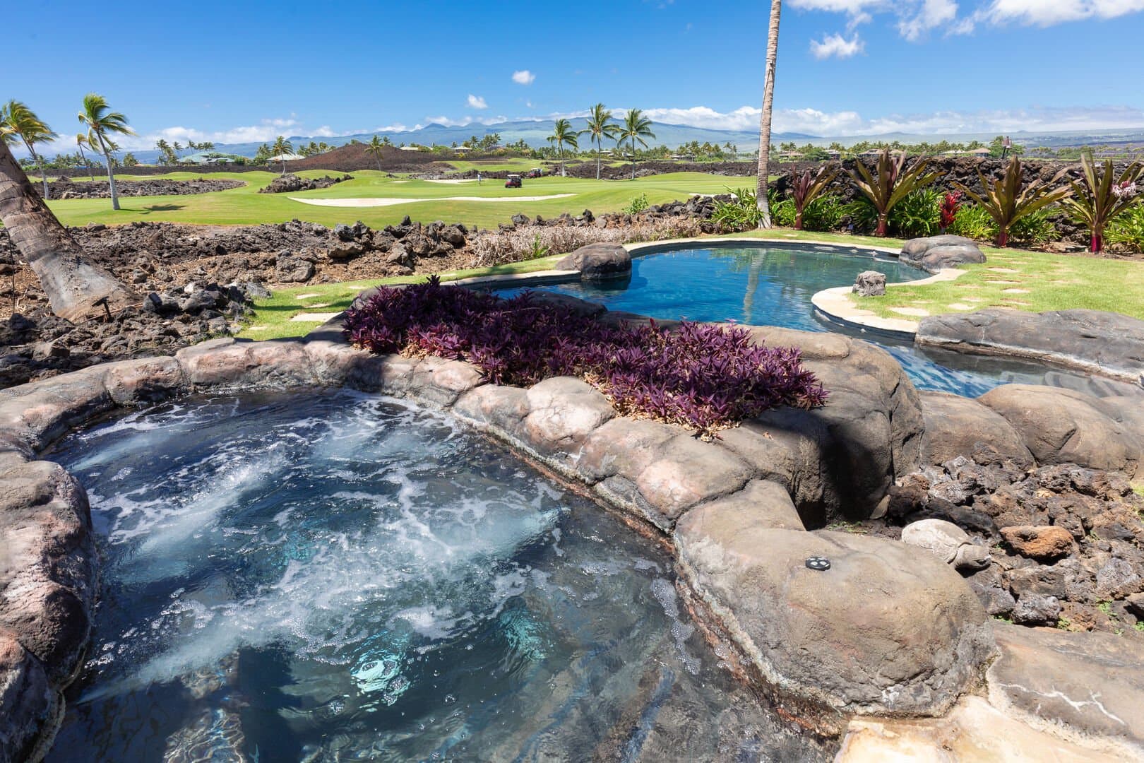 One Ocean Ohana - Image 56