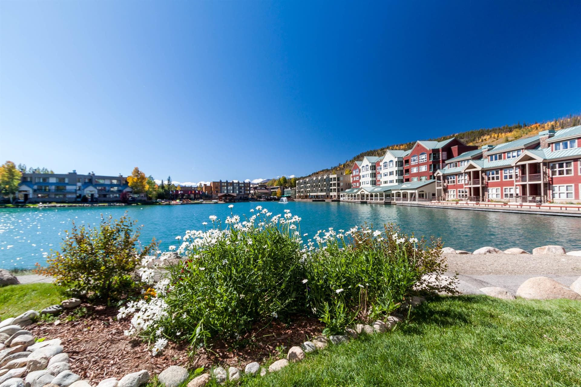 Willows Residence - Image 4