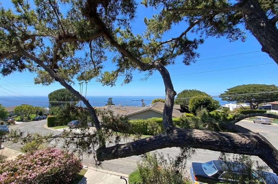 La Jolla Mid-Century - Image 54