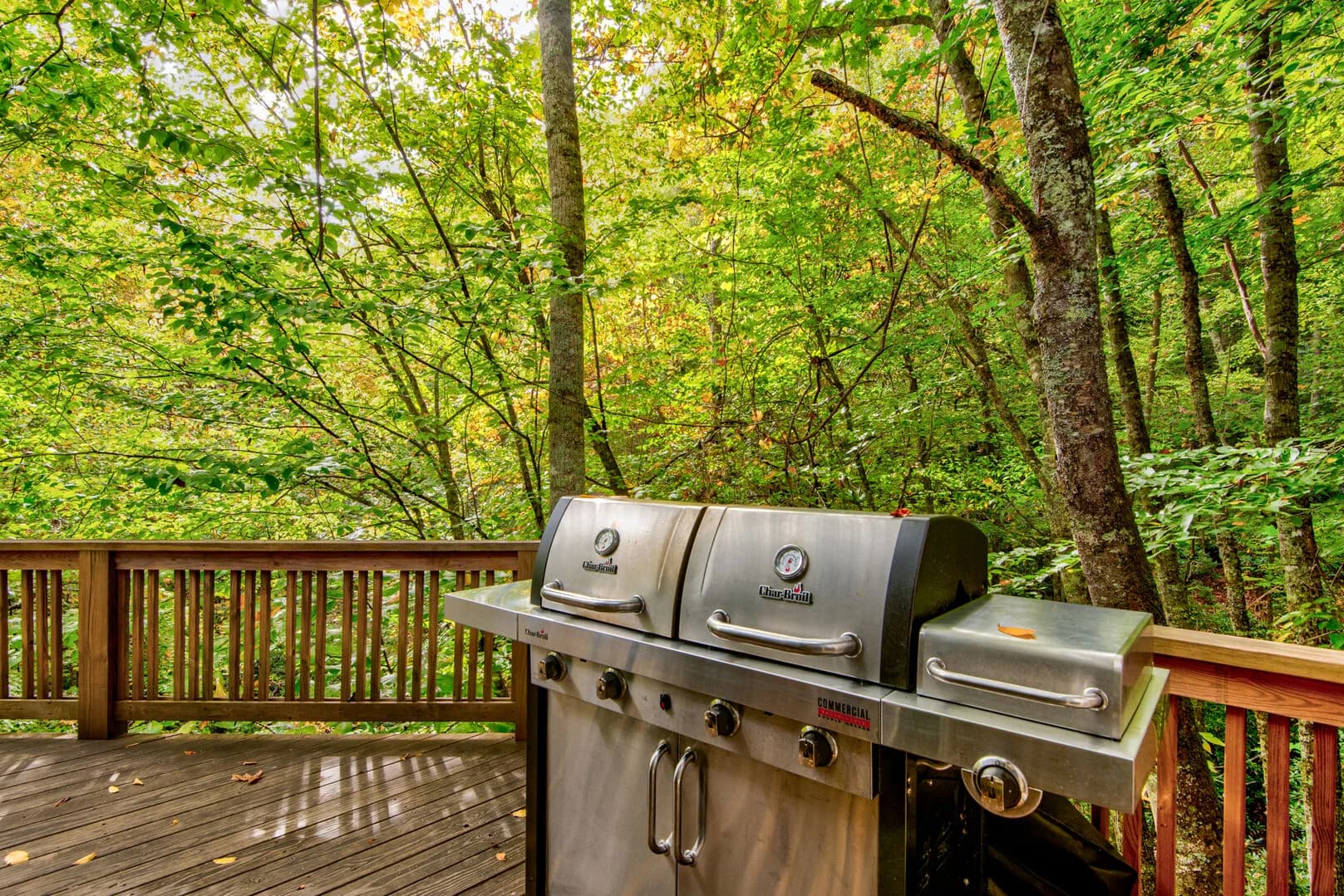 Tree House at Echota - Image 34