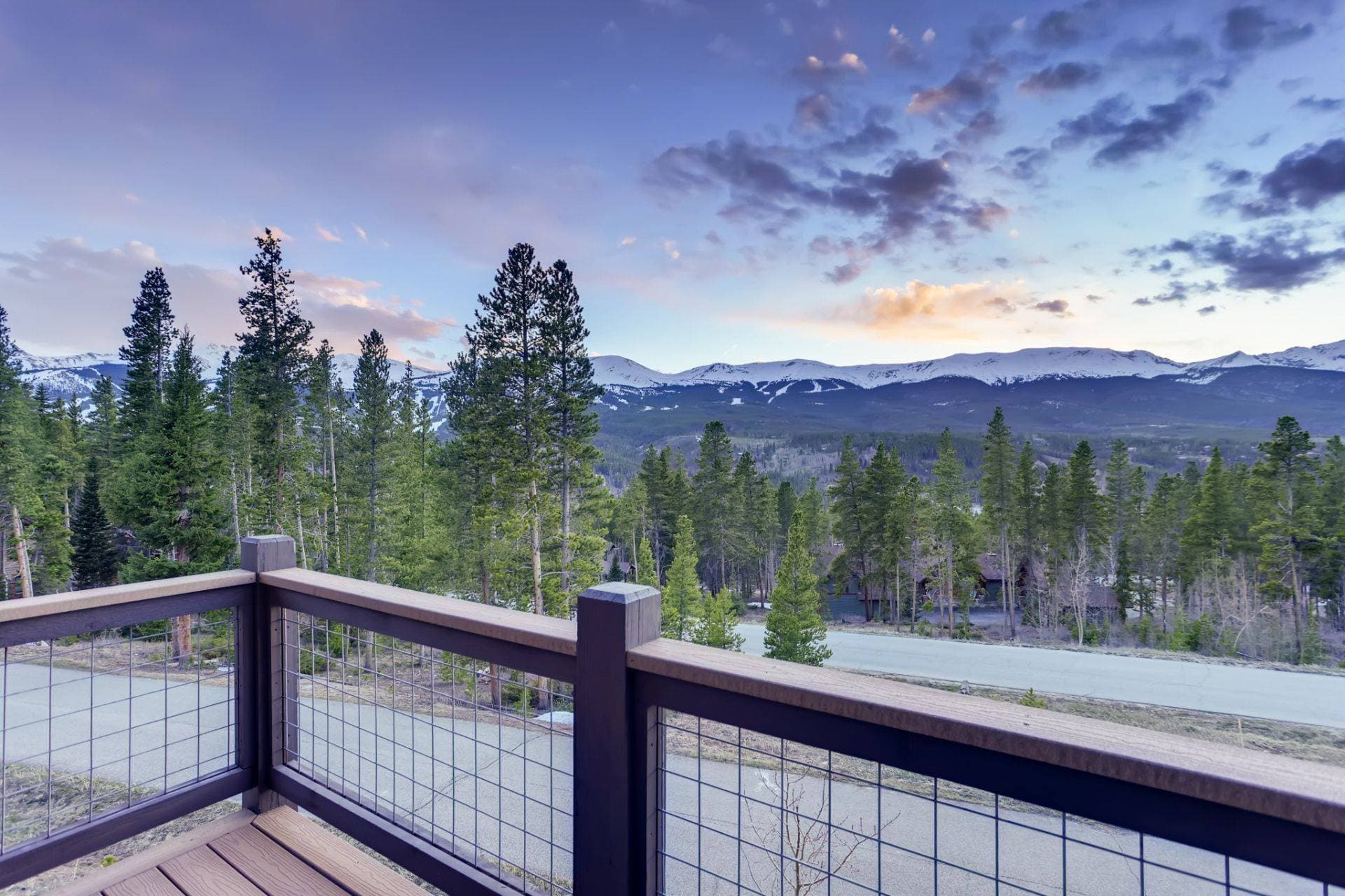 Bearadise Forest - Image 32