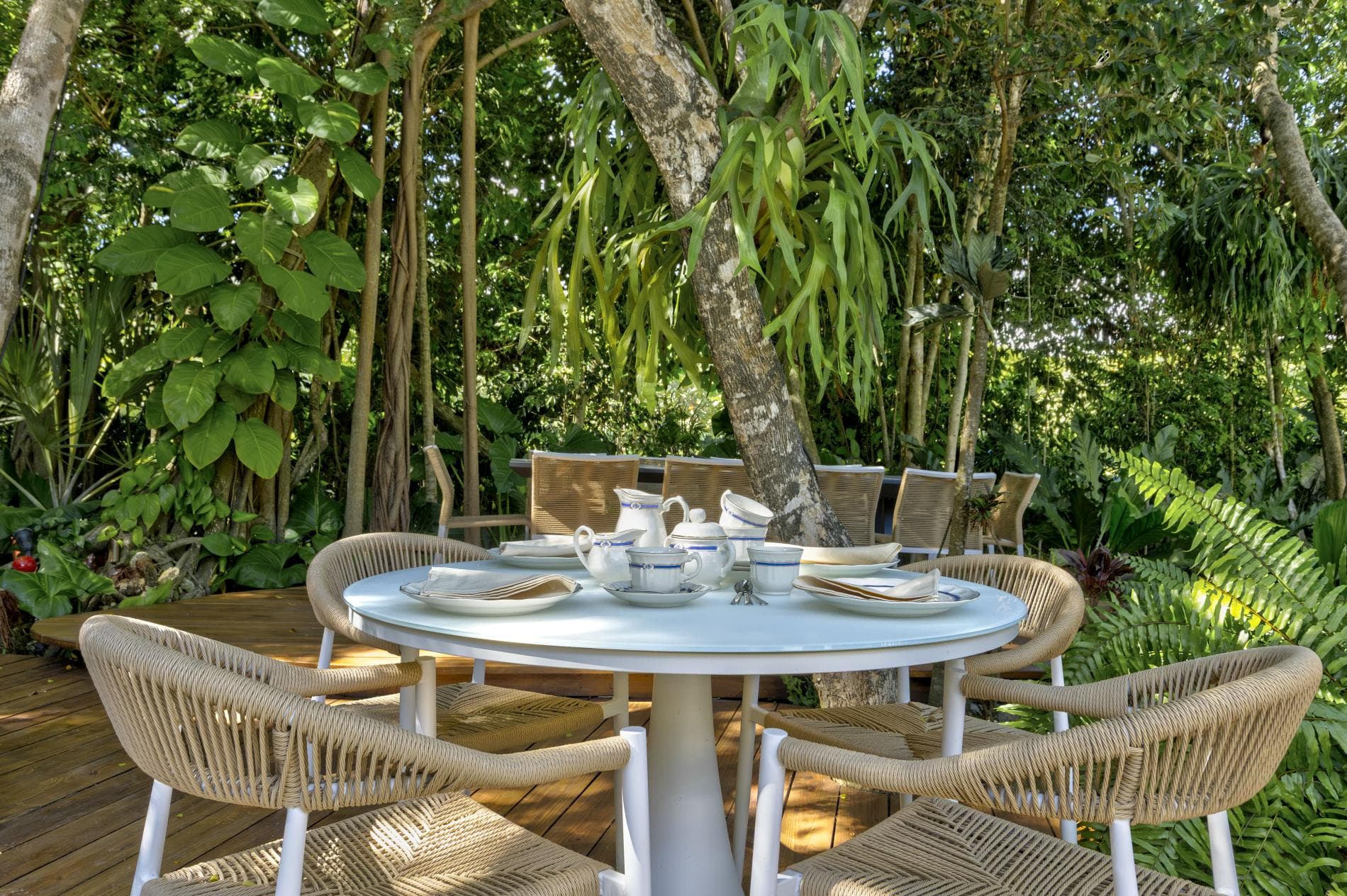 Tortuga #B55 - Image 26