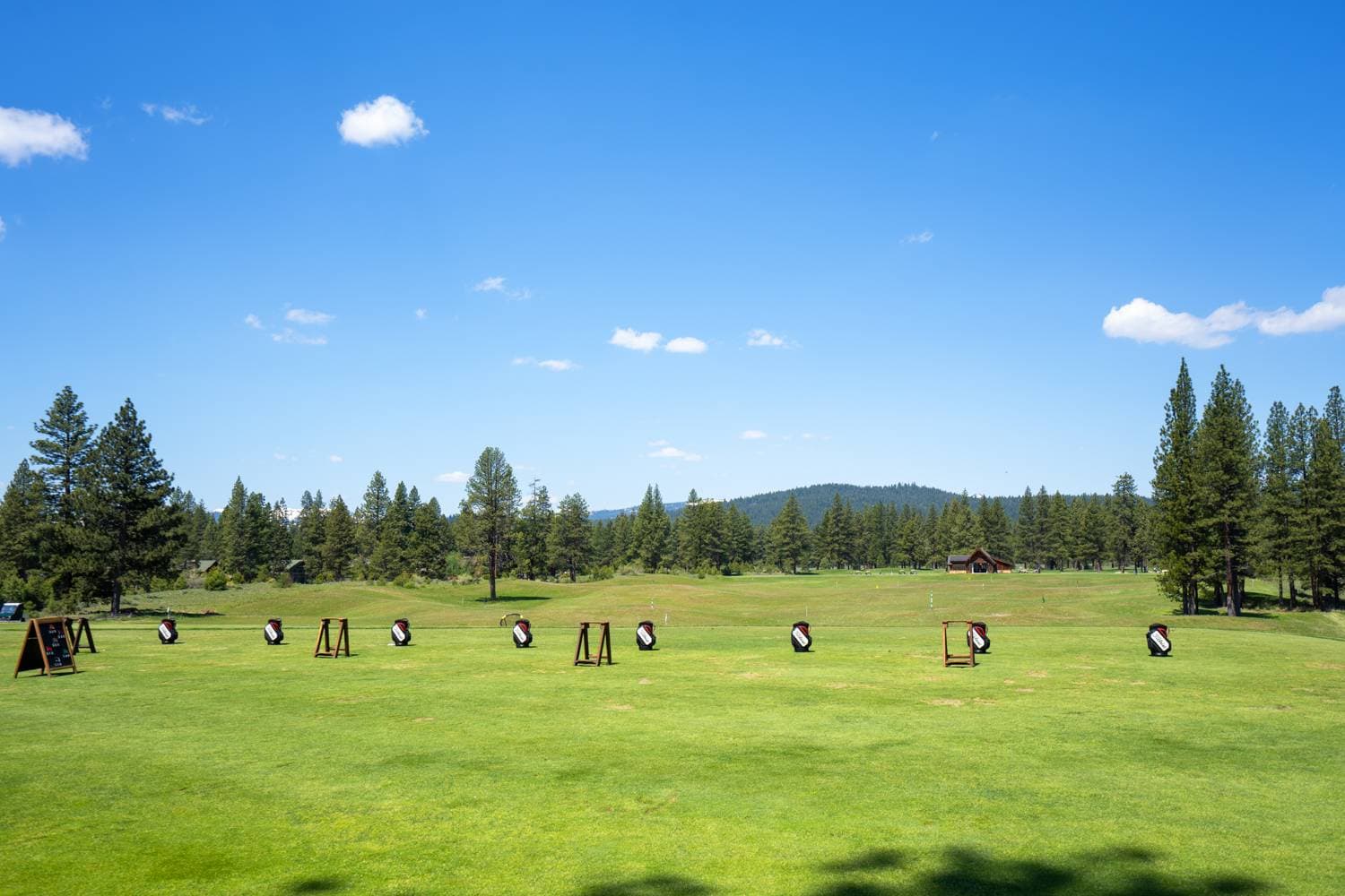 Sutter's Green - Image 36