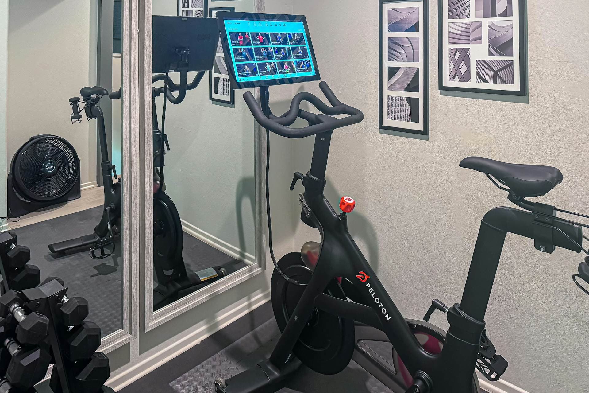 Desert Encanto - Image 24