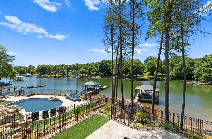 Blue Heron & Gray Fox - Image 72