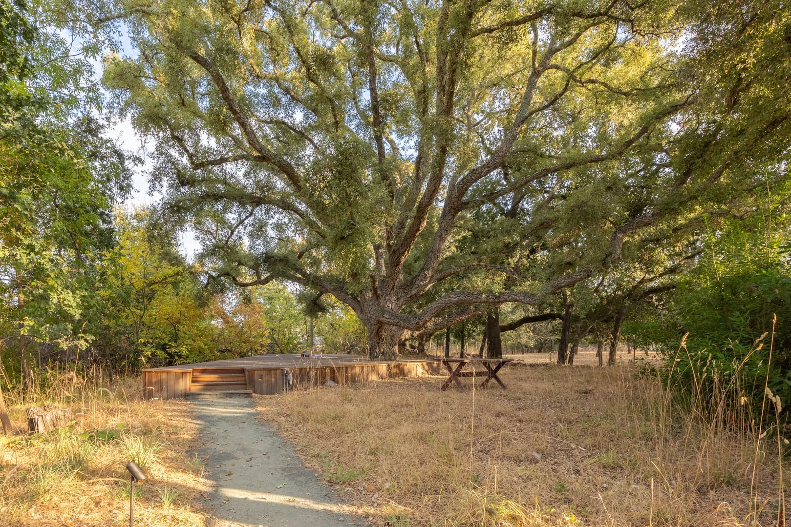 Fryer Creek Agriturismo - Image 49