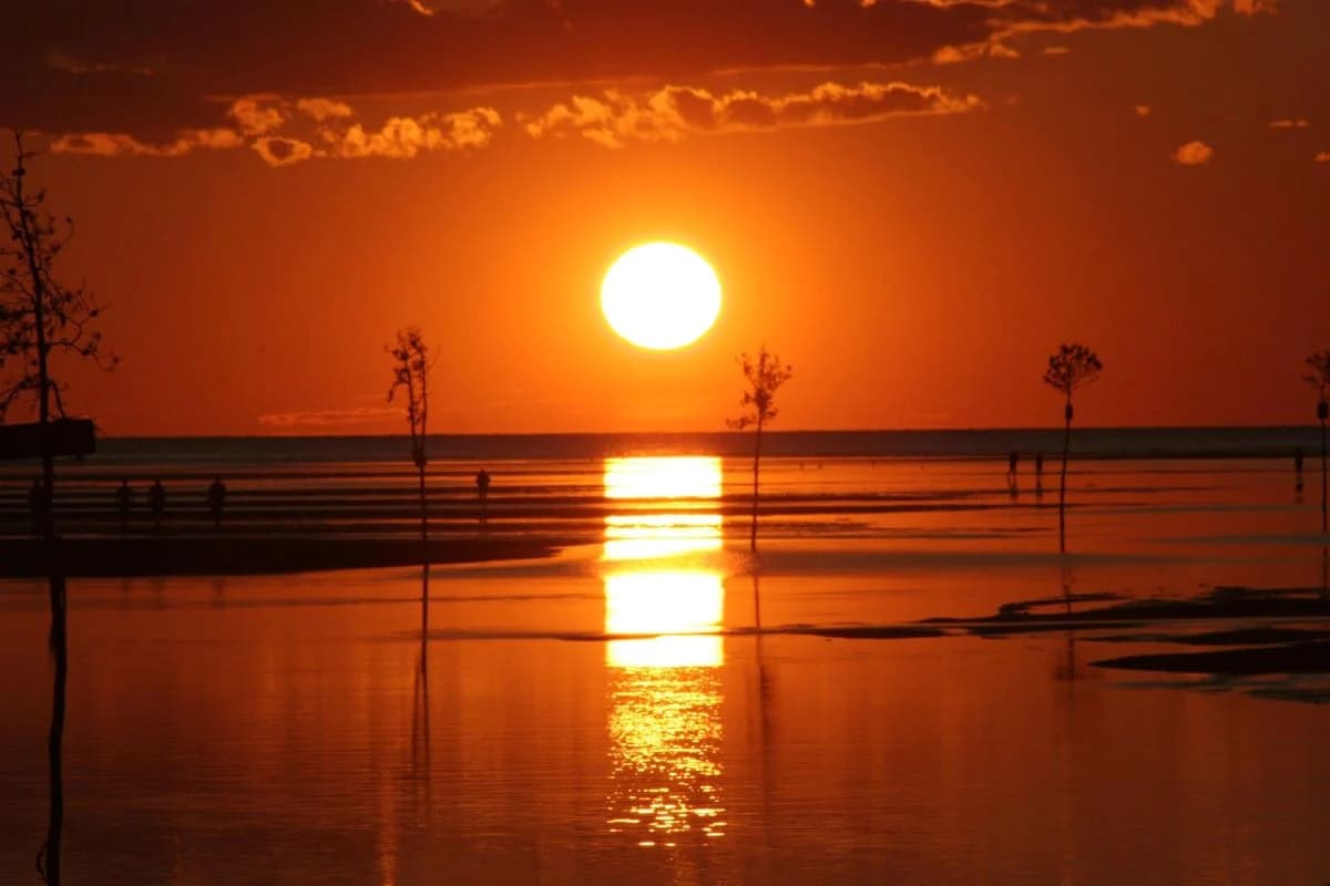 Rock Harbor Dreams - Image 37