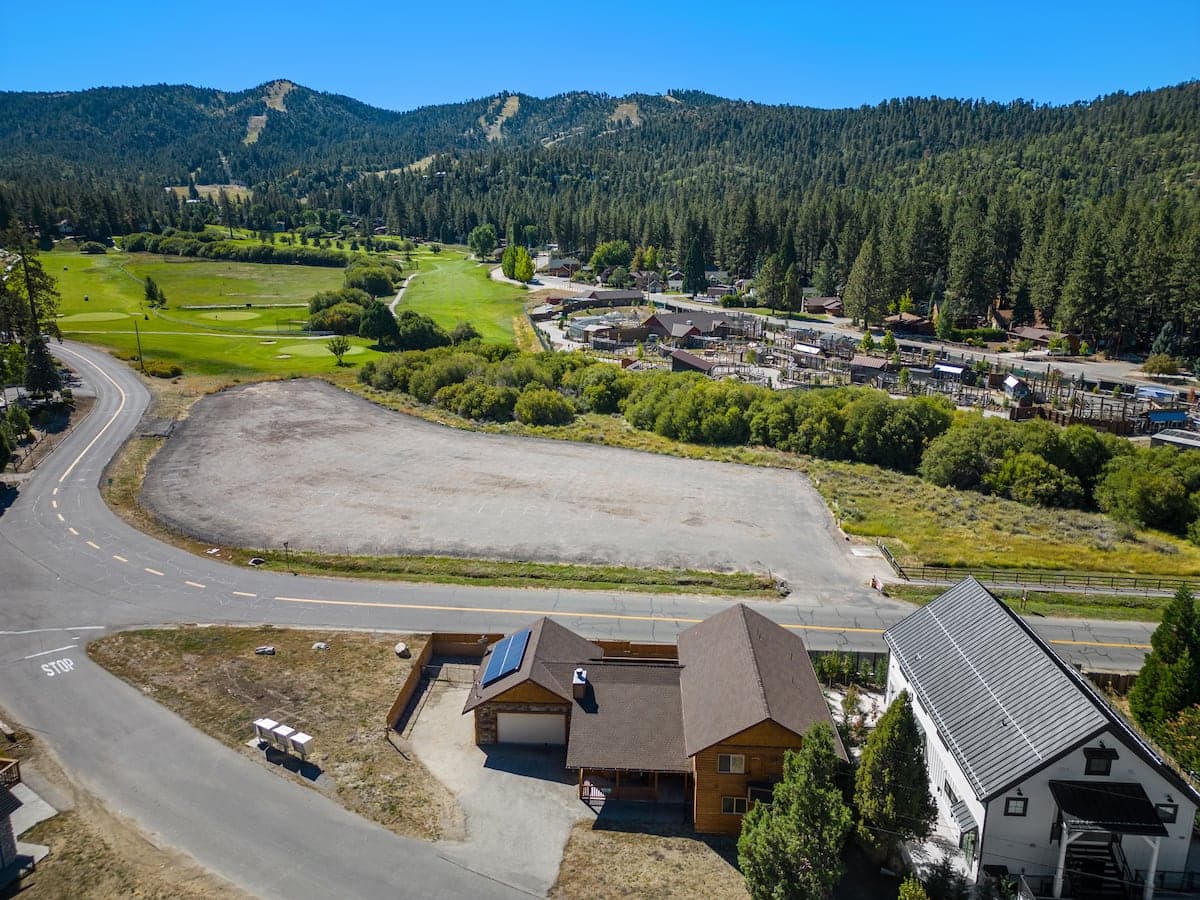 Paw Print - Image 36