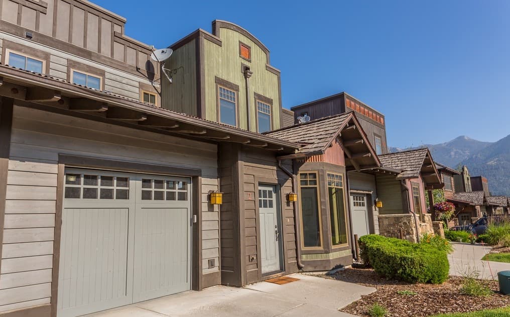 Pheasant #992 - Image 6