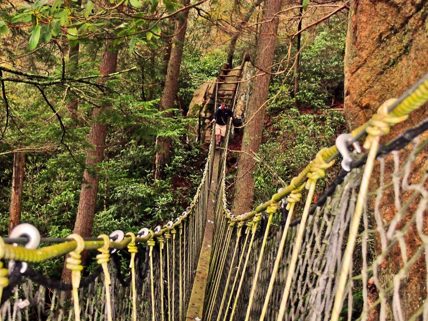 Price Peak - Image 26