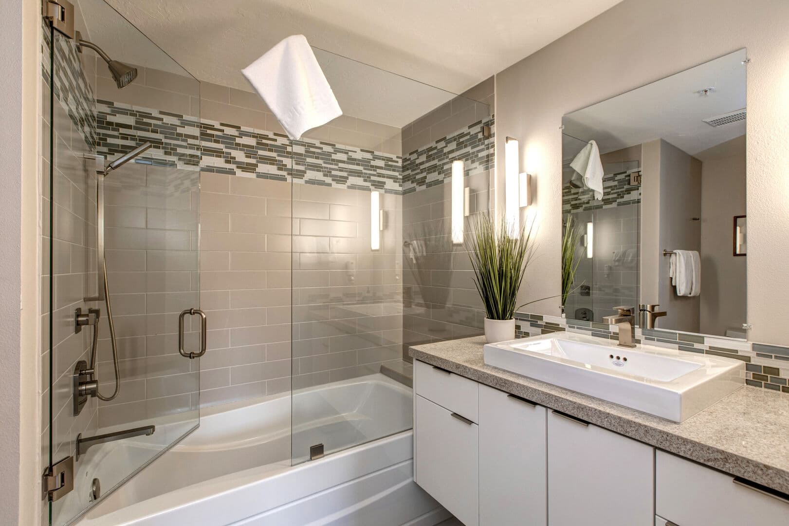 Black Bear 431 - Image 18